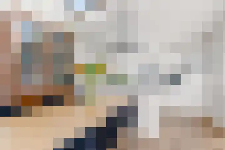 het Spaarne 14 Woerden thumbnail 11