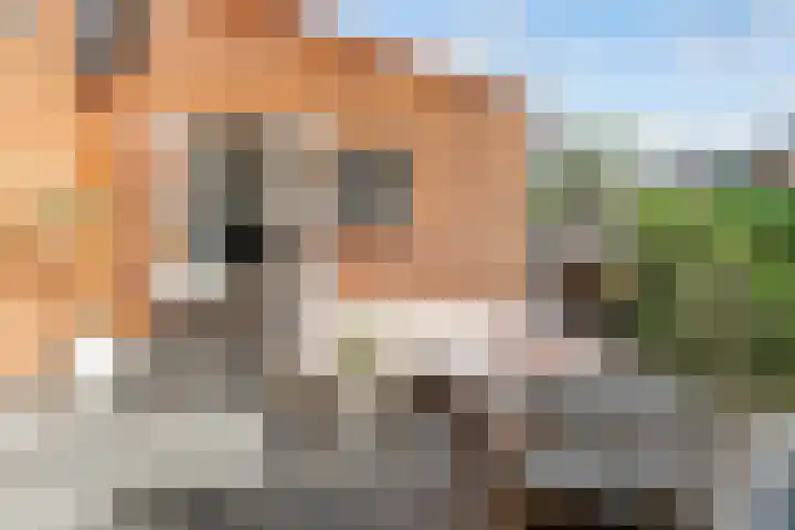het Spaarne 14 Woerden thumbnail 22