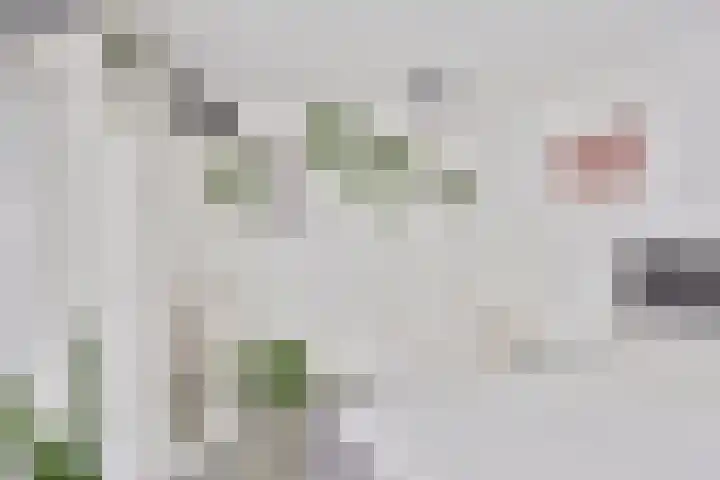 het Spaarne 23 Woerden thumbnail 9