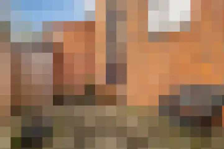 het Spaarne 34 Woerden thumbnail 25