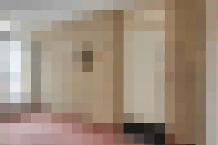 Het Spectrum 18 Dronten thumbnail 10