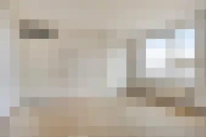Het Spectrum 18 Dronten thumbnail 17