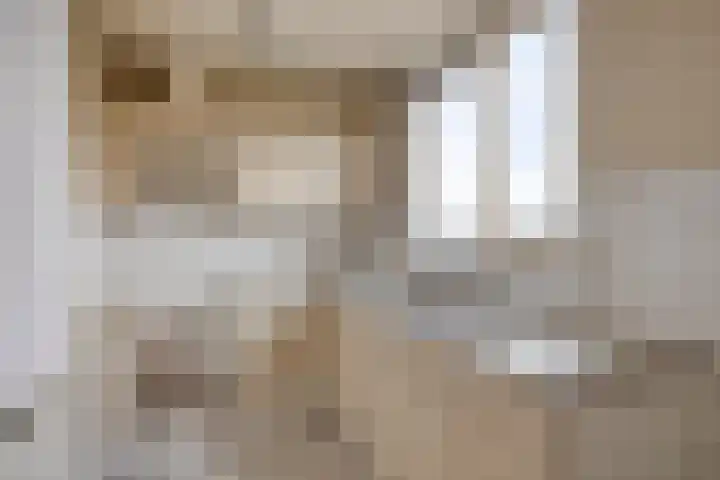 Het Spectrum 18 Dronten thumbnail 18