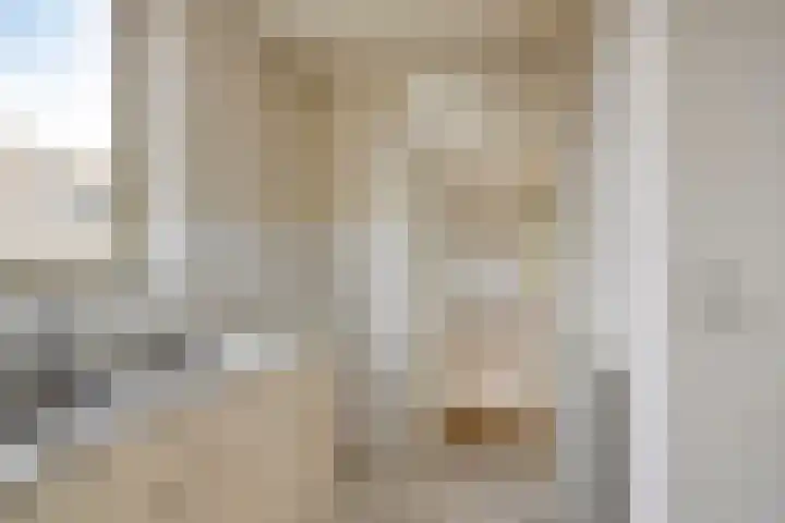 Het Spectrum 18 Dronten thumbnail 20