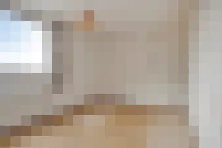 Het Spectrum 18 Dronten thumbnail 21