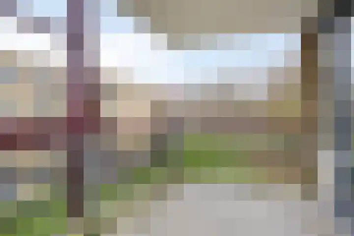 Het Spectrum 18 Dronten thumbnail 27