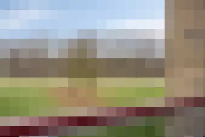 Het Spectrum 18 Dronten thumbnail 28