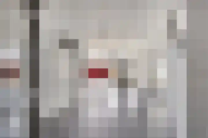 Het Spectrum 18 Dronten thumbnail 6