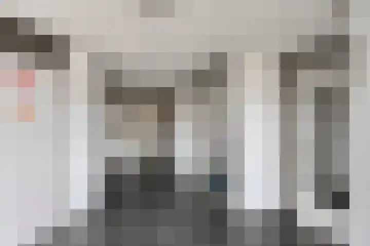 Het Spectrum 18 Dronten thumbnail 7