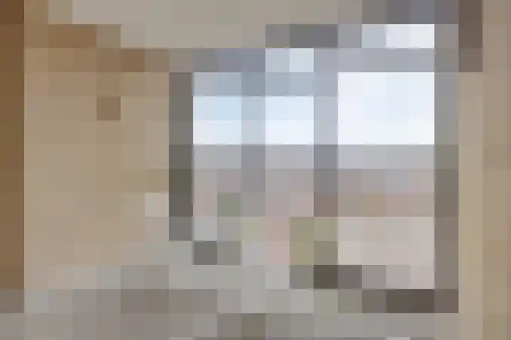 Het Spectrum 18 Dronten thumbnail 9