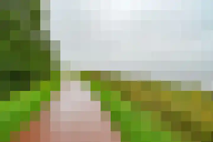 Het Spijk 20 Huizen thumbnail 22