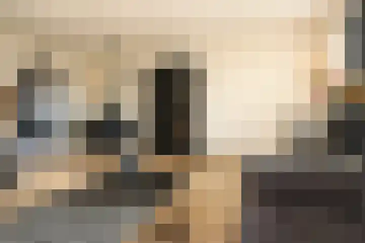 Het Spint 12 Dronten thumbnail 10