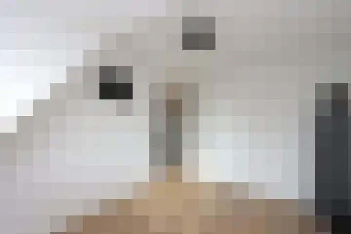 Het Spint 12 Dronten thumbnail 15