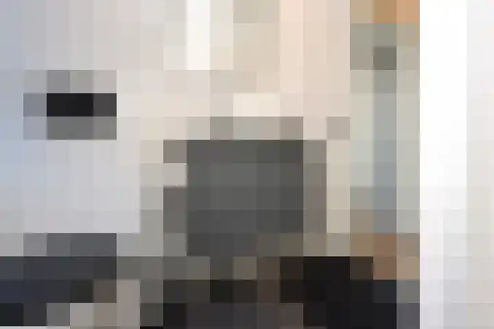 Het Spint 12 Dronten thumbnail 21
