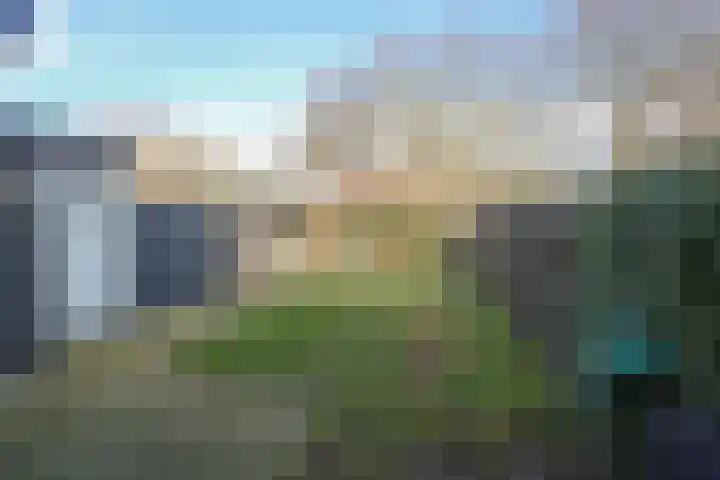 Het Spint 12 Dronten thumbnail 27