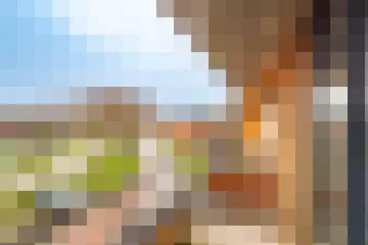 Het Spoor 90 Houten thumbnail 38