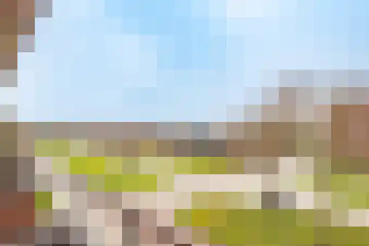 Het Spoor 90 Houten thumbnail 39