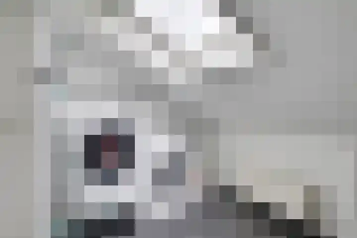 Het Spoor 90 Houten thumbnail 50