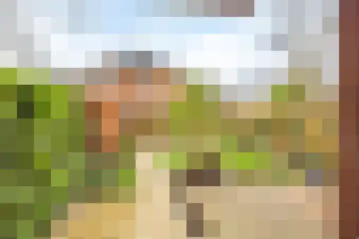 Het Spoor 90 Houten thumbnail 53