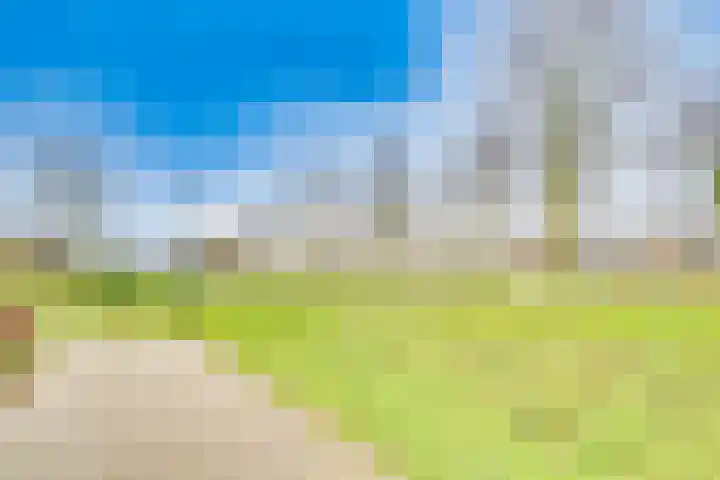 Het Spoor 90 Houten thumbnail 61