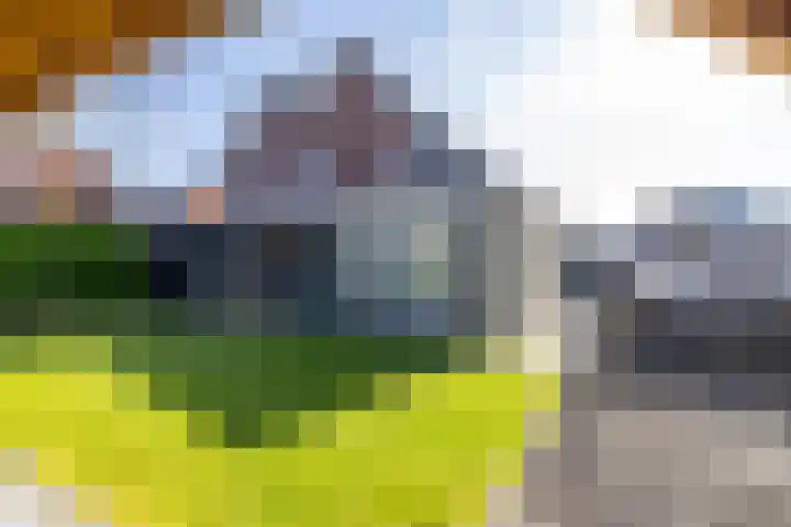 Het Spui 13 Meerstad thumbnail 43