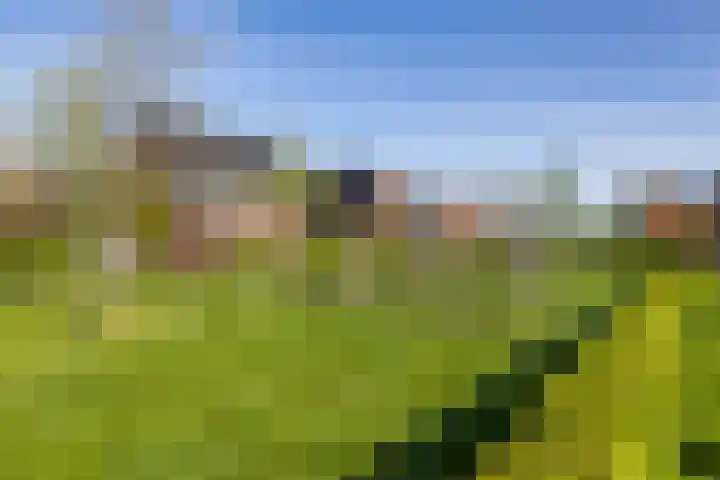 Het Spui 13 Meerstad thumbnail 48