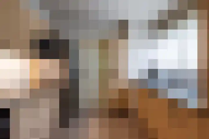 Het Steenbeek 3 Maarn thumbnail 11