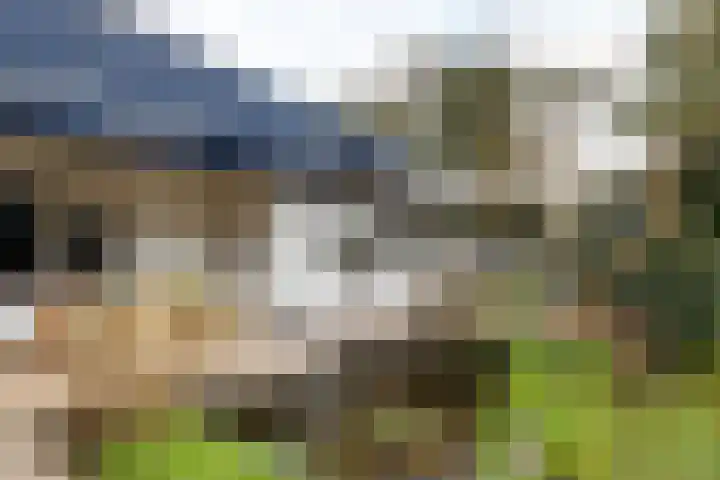 Het Steenbeek 3 Maarn thumbnail 24
