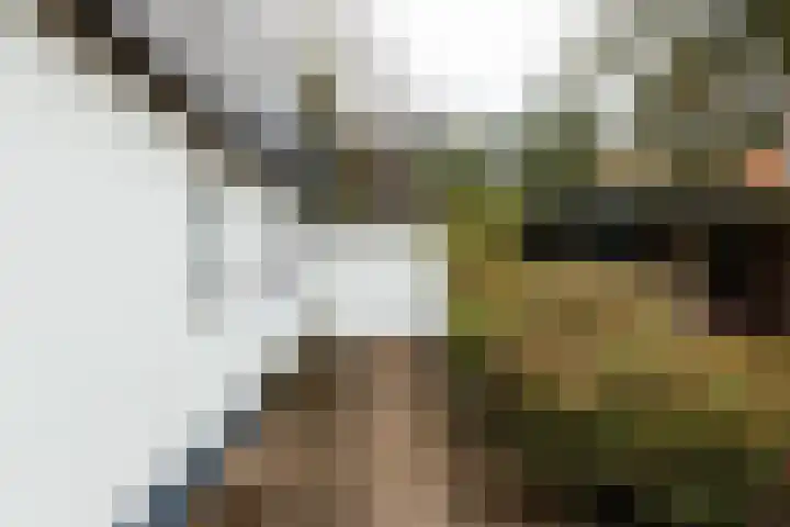 Het Steenbeek 3 Maarn thumbnail 30