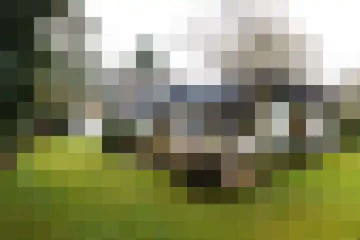 Het Steenbeek 3 Maarn thumbnail 4