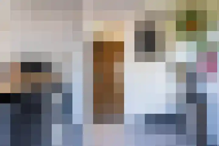 het Stroo 14 Vorden thumbnail 12