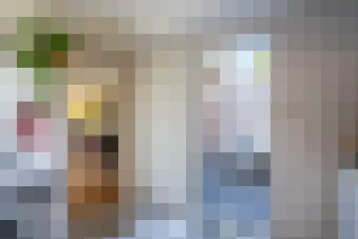 het Stroo 14 Vorden thumbnail 13