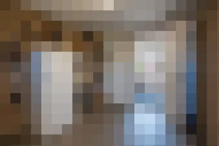 het Stroo 14 Vorden thumbnail 16