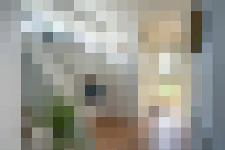 het Stroo 14 Vorden thumbnail 18