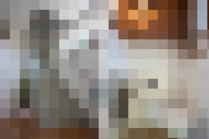 het Stroo 14 Vorden thumbnail 19
