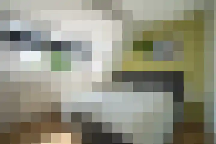 het Stroo 14 Vorden thumbnail 20