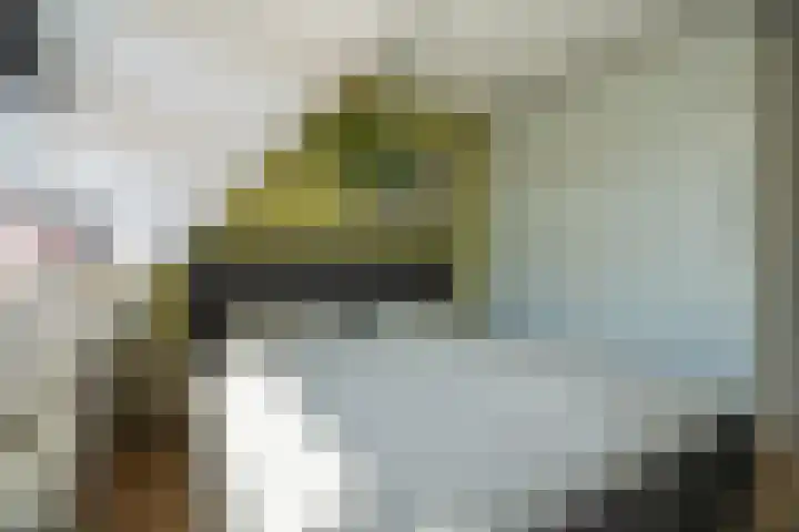 het Stroo 14 Vorden thumbnail 21