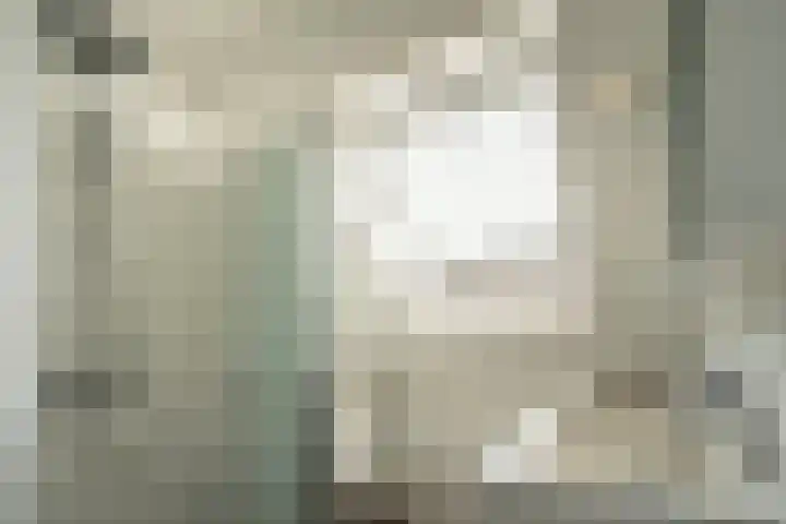 het Stroo 14 Vorden thumbnail 25