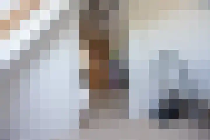 het Stroo 14 Vorden thumbnail 29