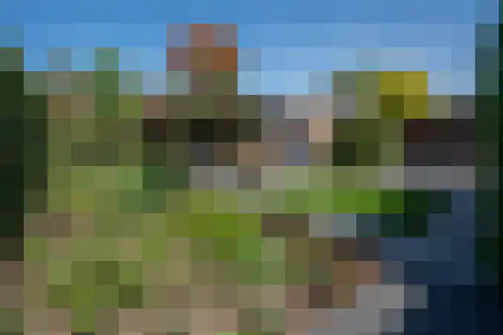 het Stroo 14 Vorden thumbnail 31