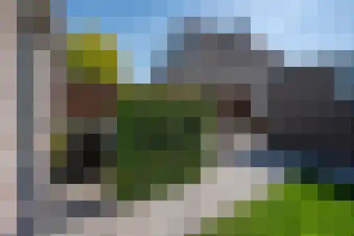 het Stroo 14 Vorden thumbnail 32