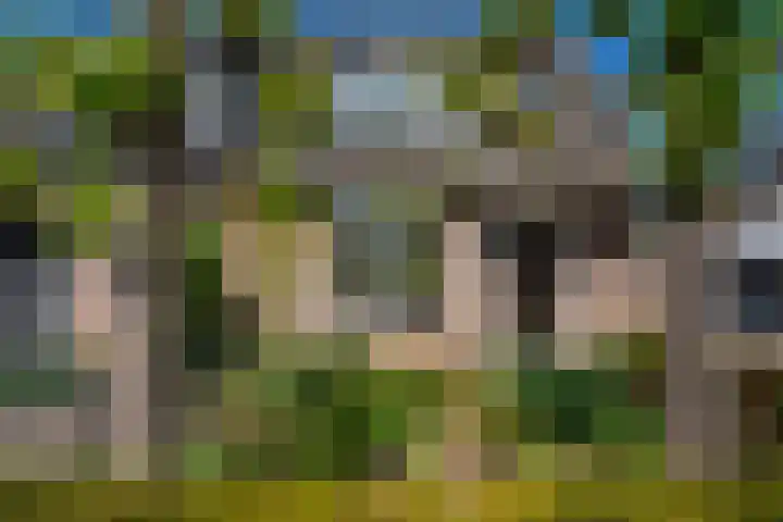 het Stroo 14 Vorden thumbnail 33