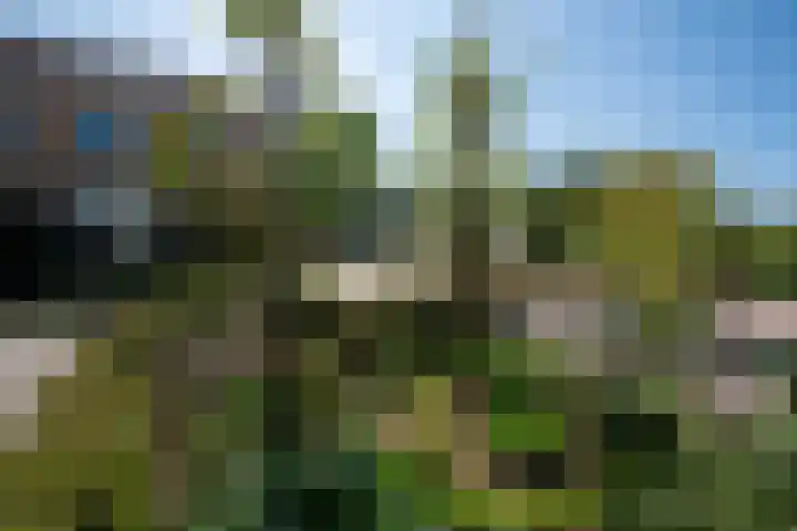het Stroo 14 Vorden thumbnail 34
