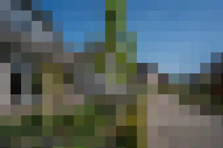 het Stroo 14 Vorden thumbnail 36