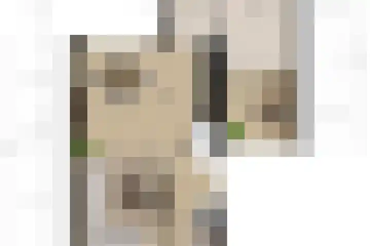 het Stroo 14 Vorden thumbnail 38