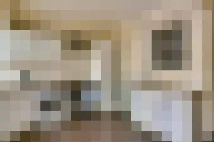 Het Struweel 11 Veldhoven thumbnail 11
