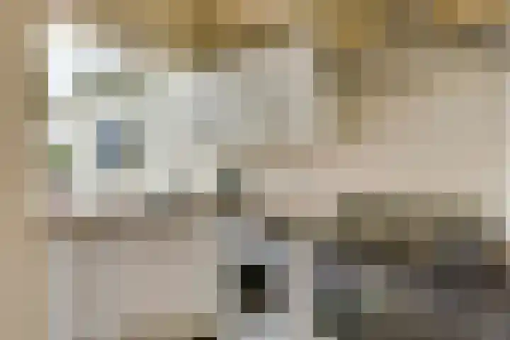 Het Struweel 11 Veldhoven thumbnail 12