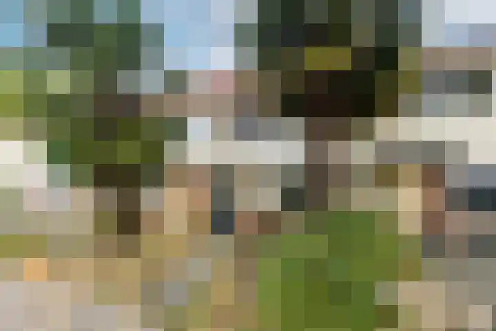 Het Struweel 11 Veldhoven thumbnail 30