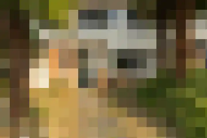 Het Struweel 11 Veldhoven thumbnail 31