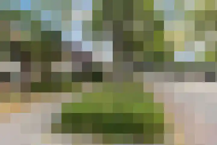 Het Struweel 11 Veldhoven thumbnail 32